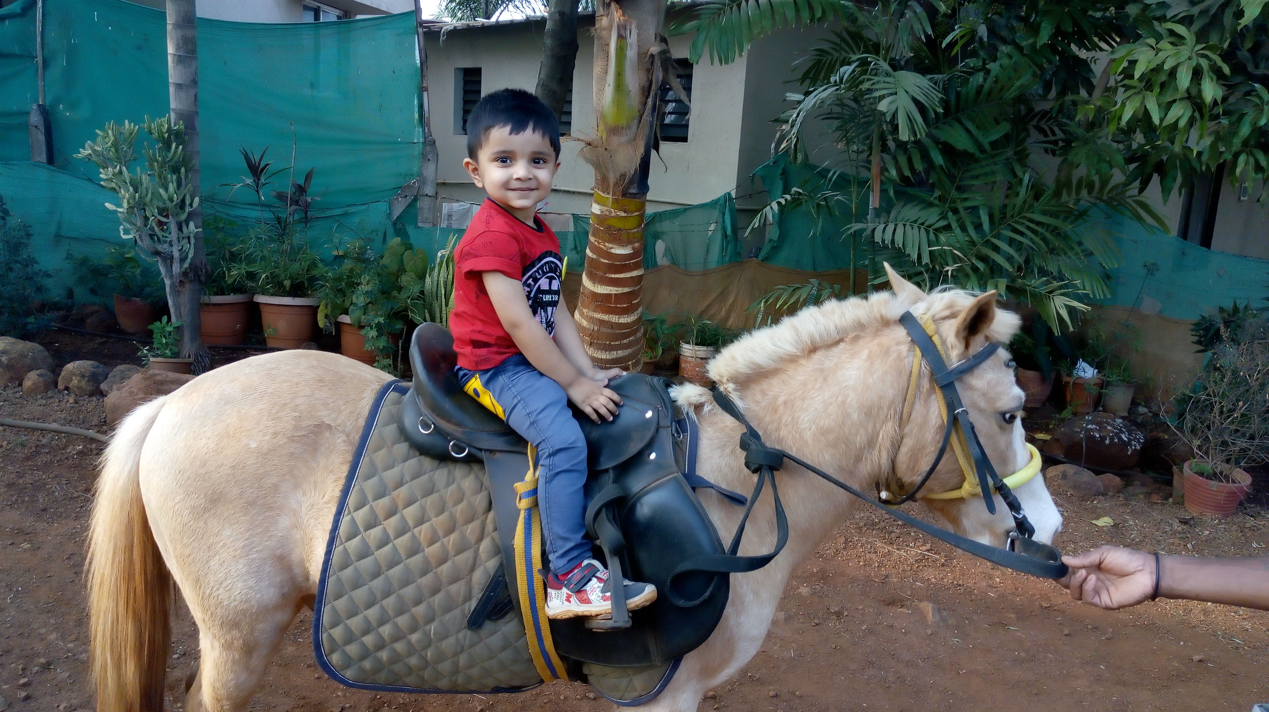 horseRide