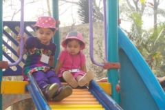 Park Picnic