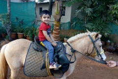 horseRide